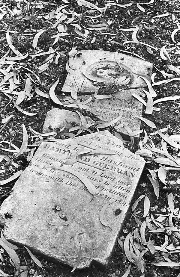 Photograph of a gravestone taken in an Oakland, California cemetery