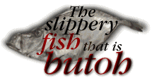 the slippery fish that is butoh